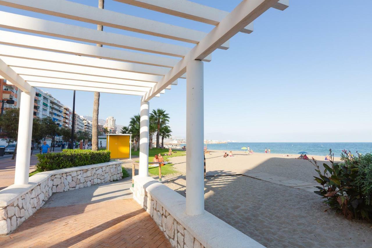 Picasso Daisy * Fuengirola